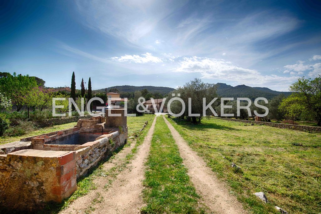 Featured Photo
