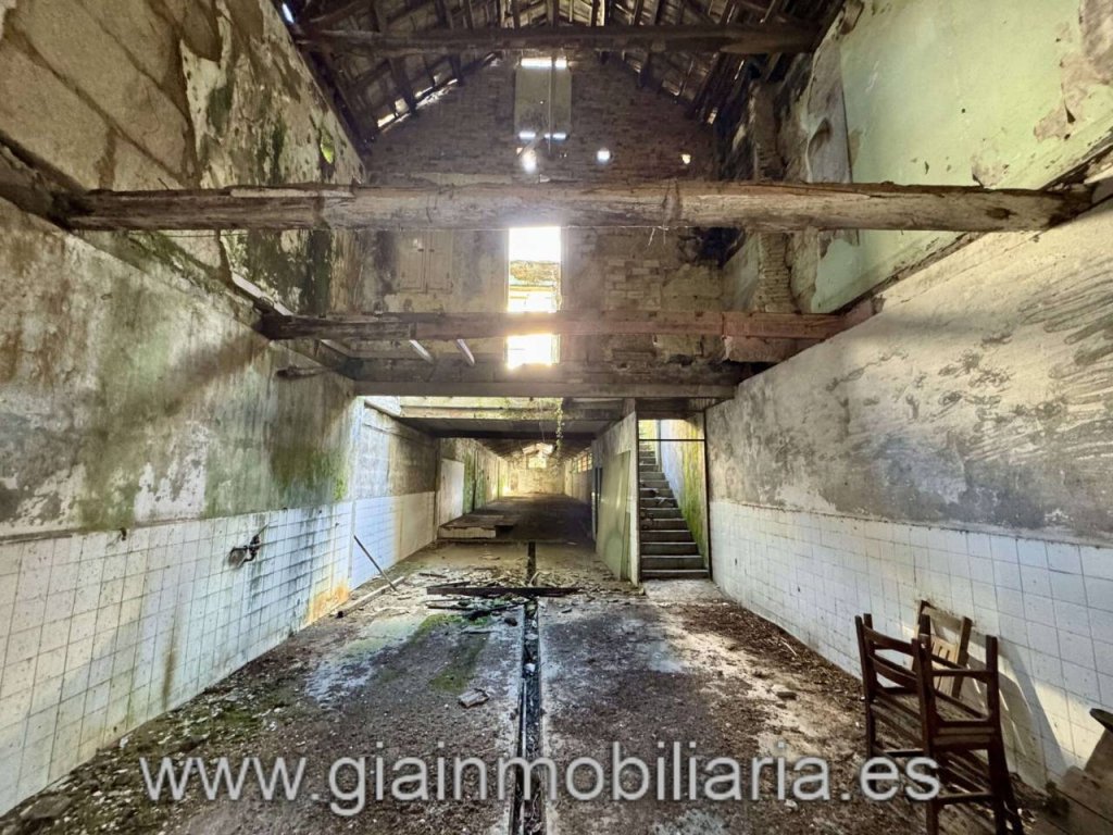 Featured Photo