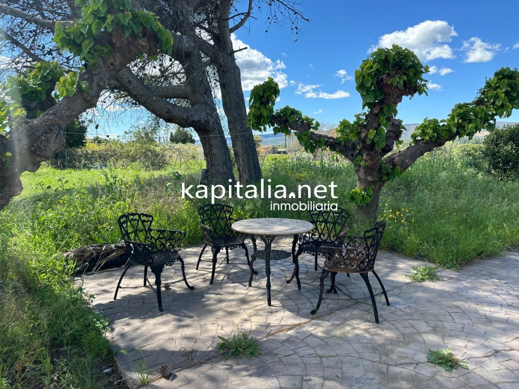 Featured Photo