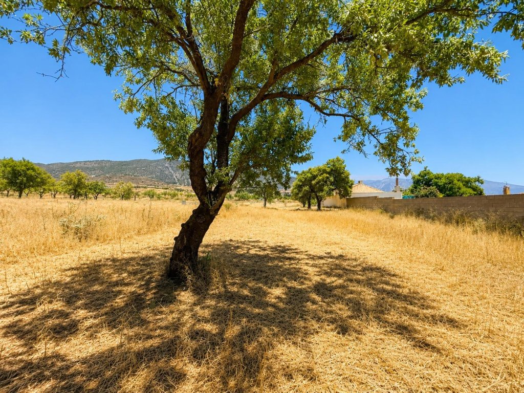 Featured Photo