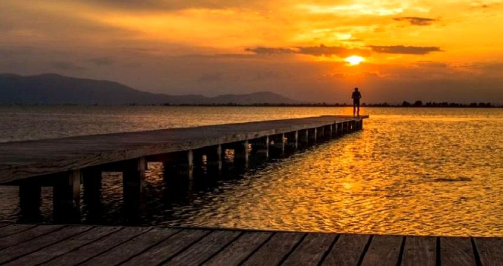 Featured Photo