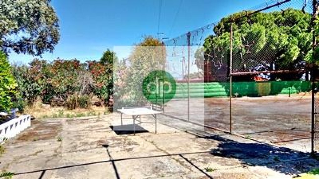Featured Photo