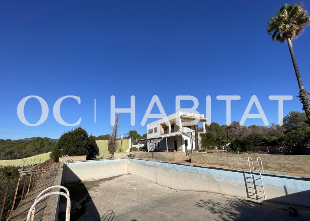 Featured Photo