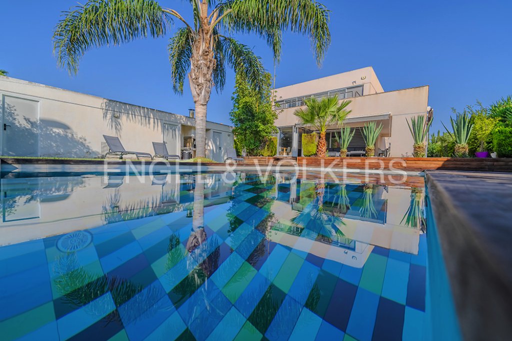 Featured Photo