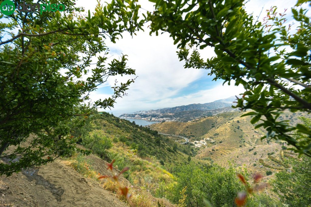 Featured Photo