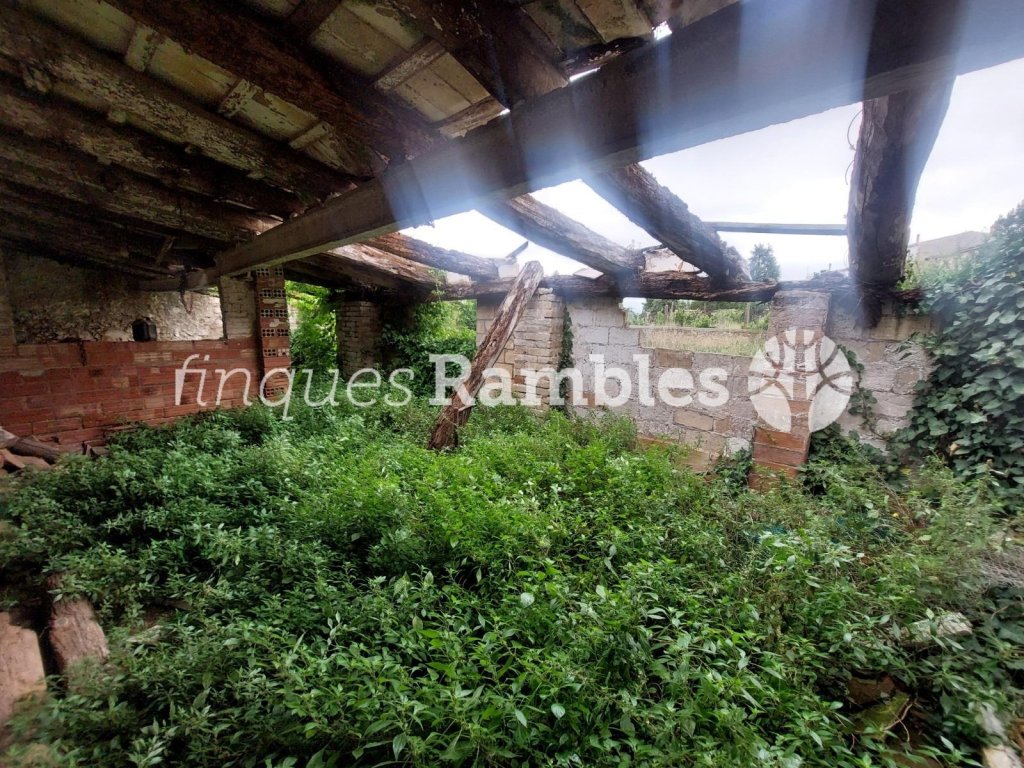 Featured Photo