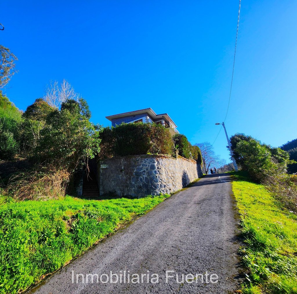 Featured Photo