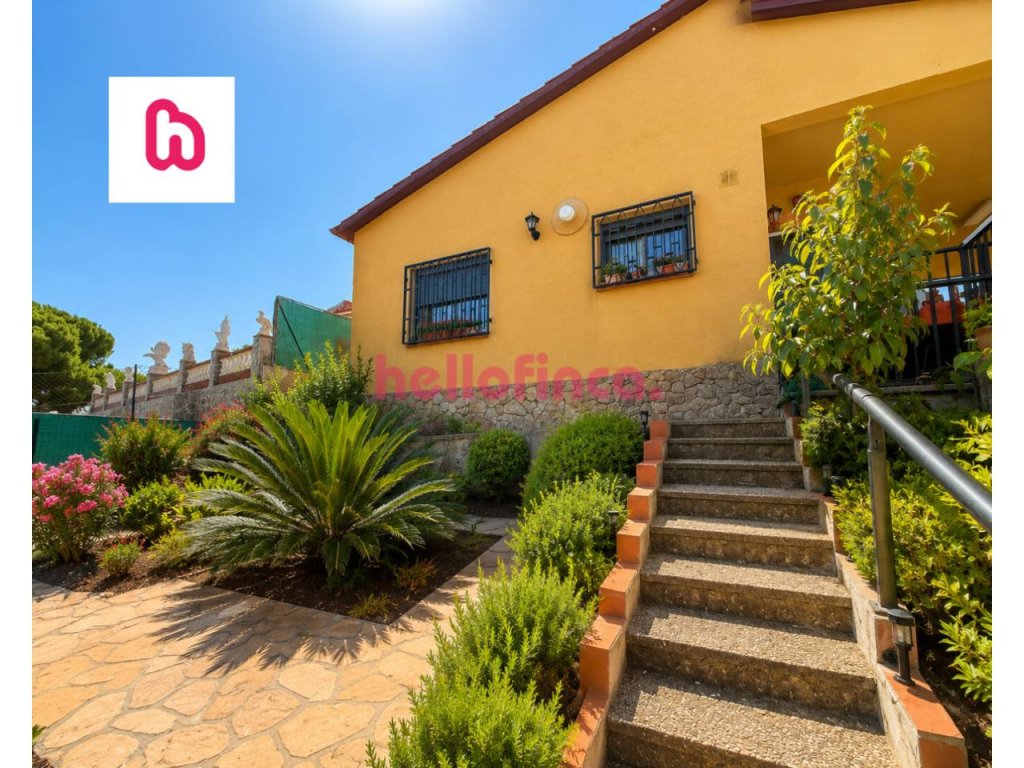Featured Photo