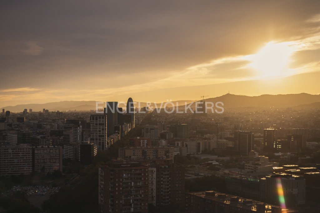 Featured Photo