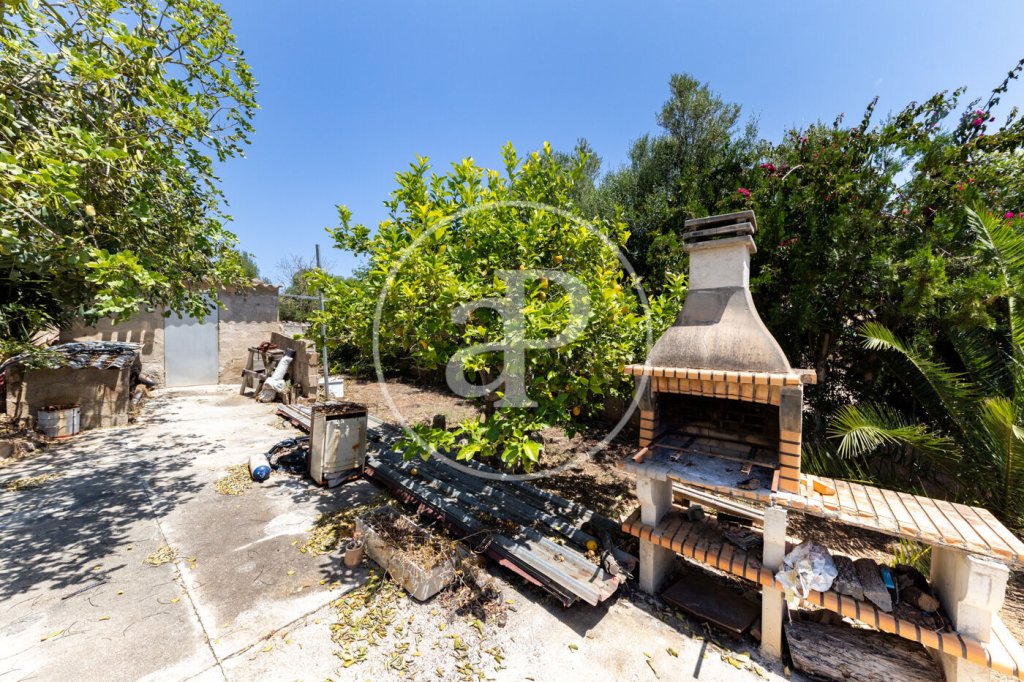 Featured Photo