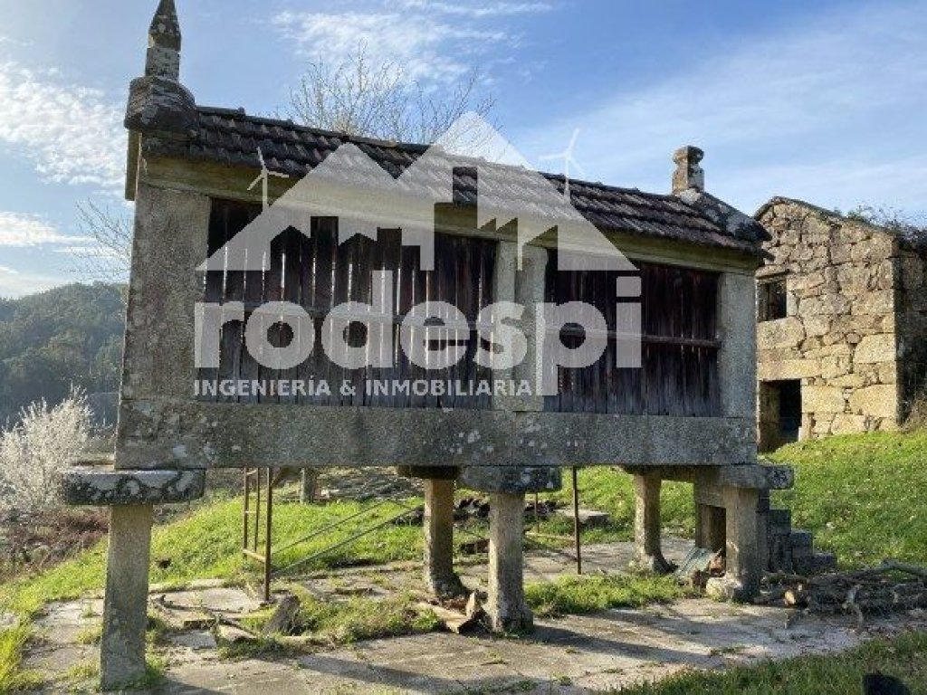 Featured Photo