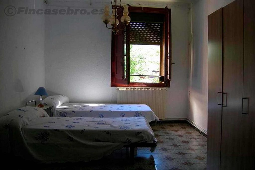Featured Photo