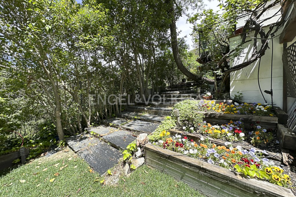 Featured Photo