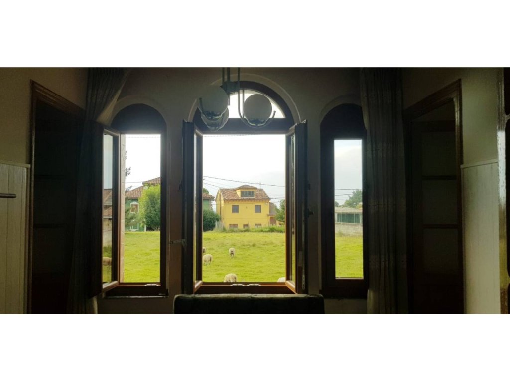 Featured Photo