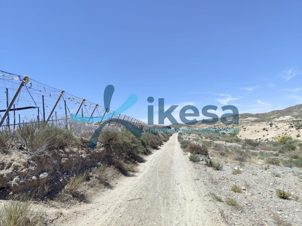 Featured Photo