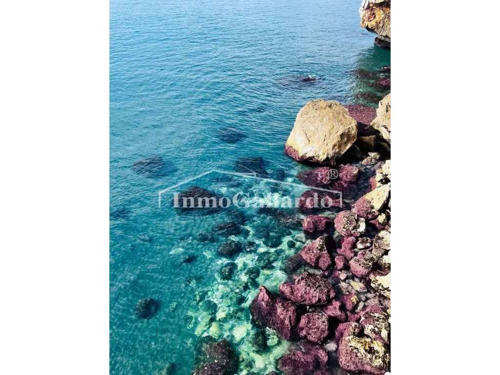 Featured Photo