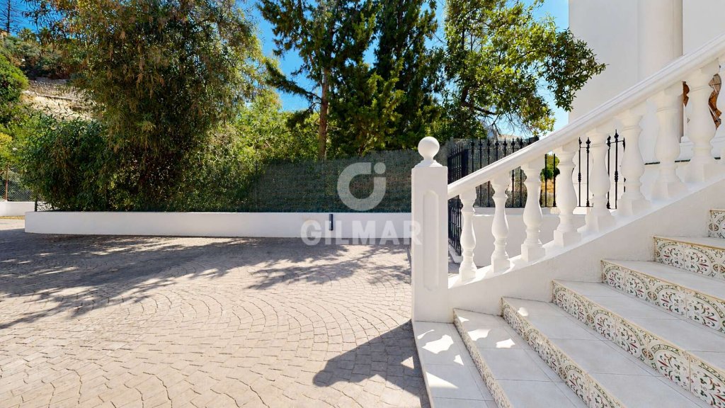 Featured Photo