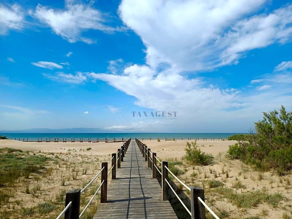 Featured Photo