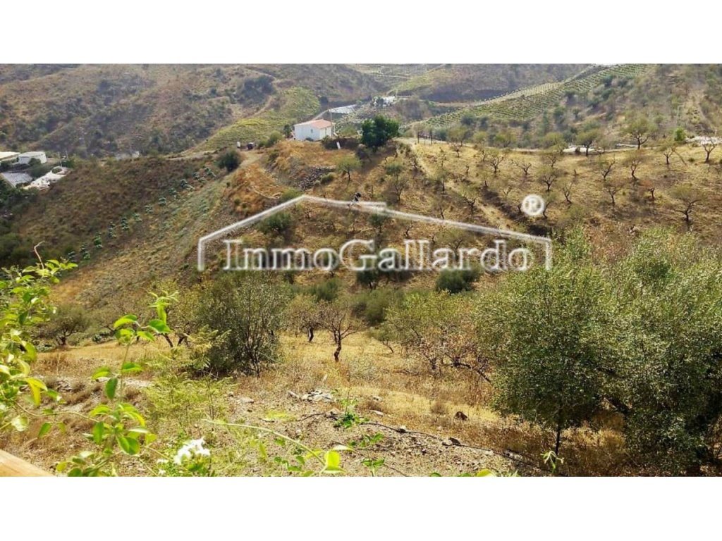 Featured Photo