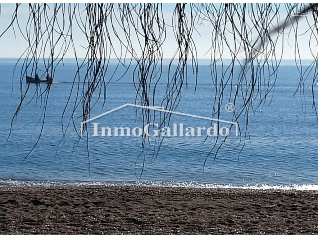 Featured Photo