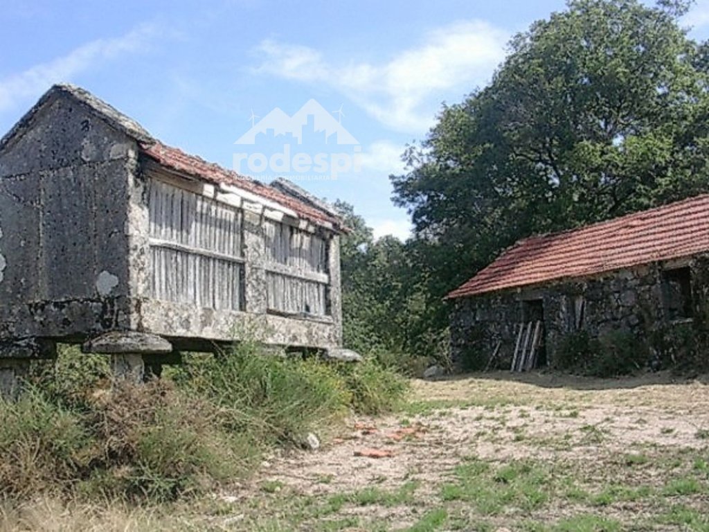 Featured Photo
