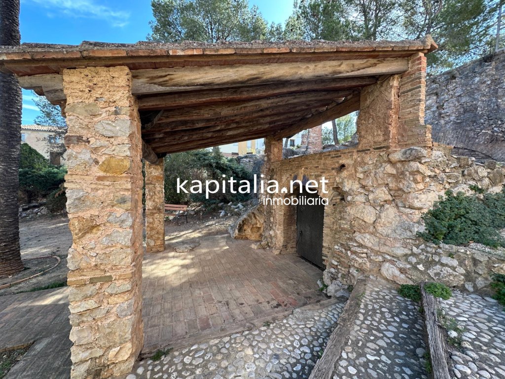 Featured Photo