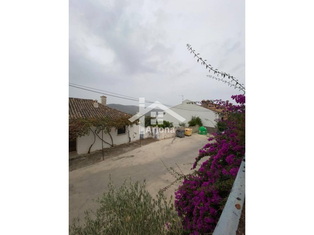 Featured Photo