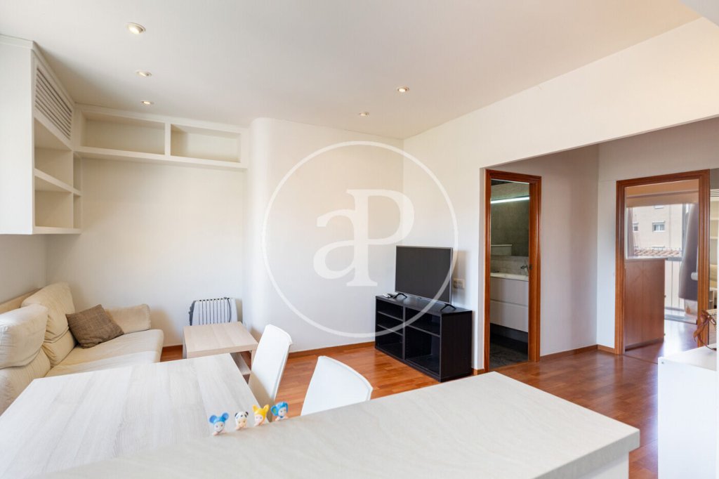Featured Photo