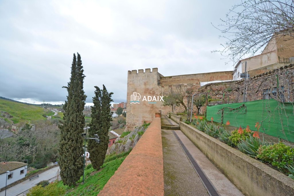 Featured Photo