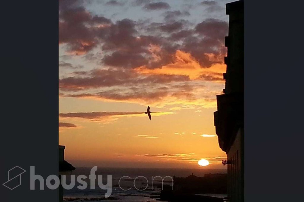 Featured Photo