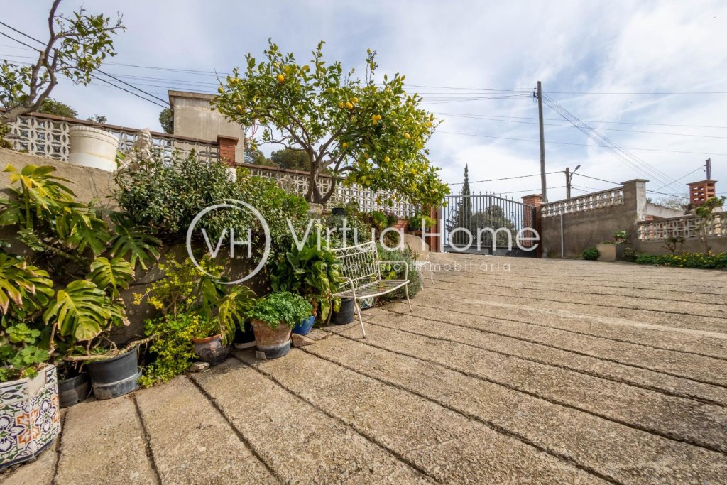 Featured Photo