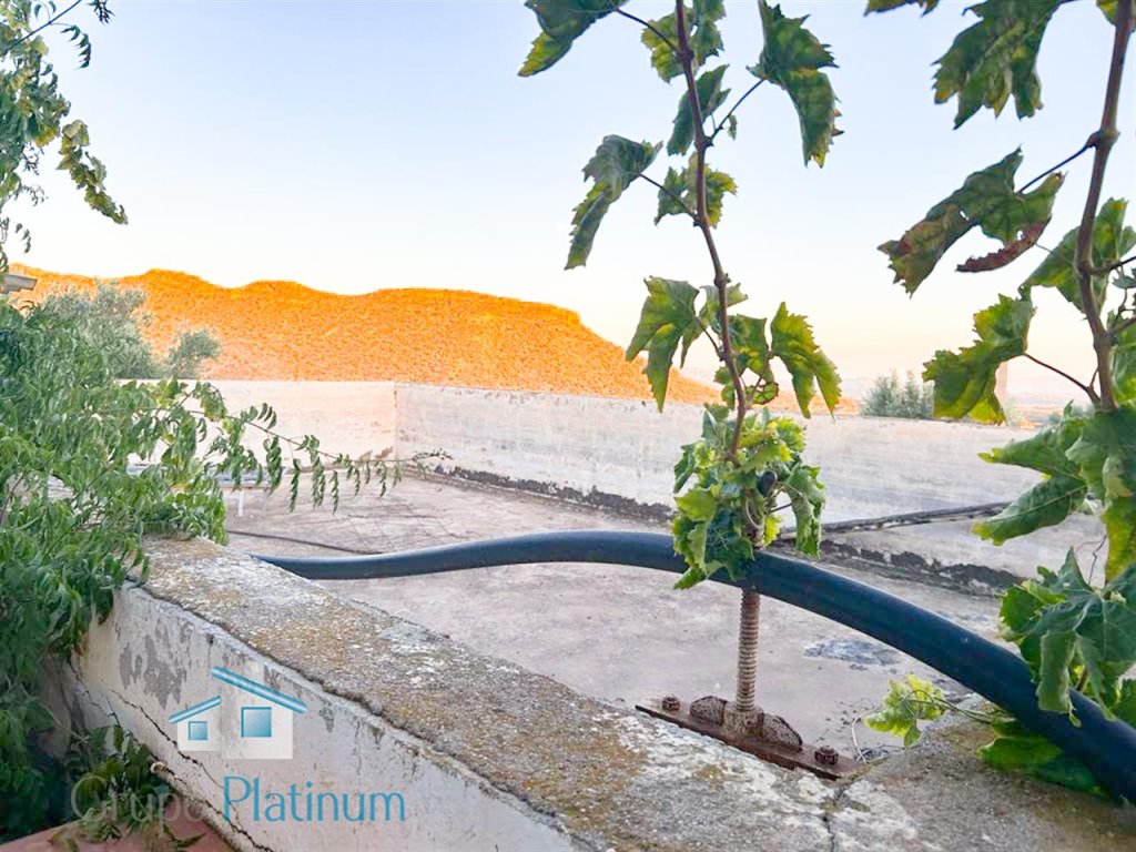 Featured Photo