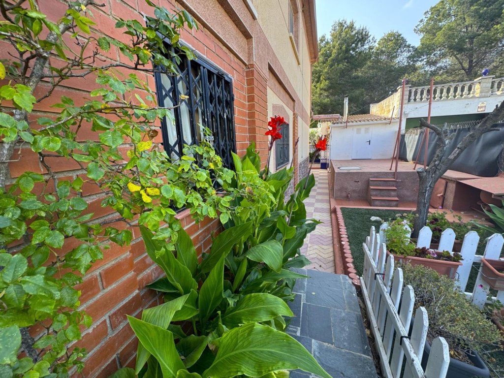 Featured Photo