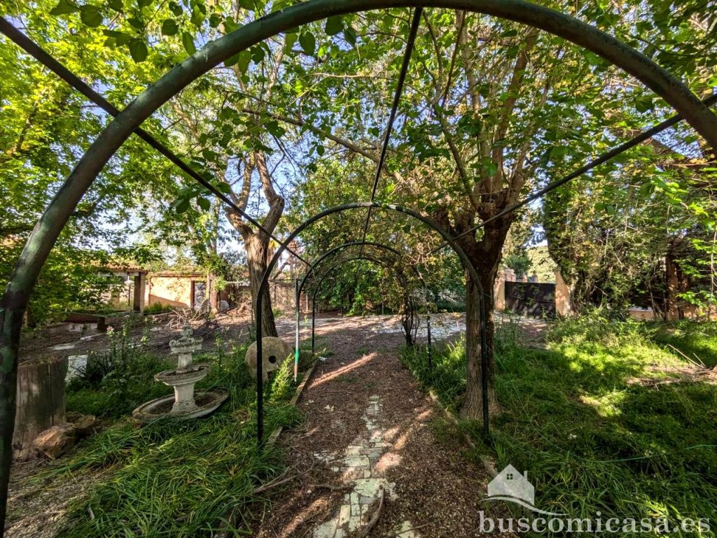Featured Photo