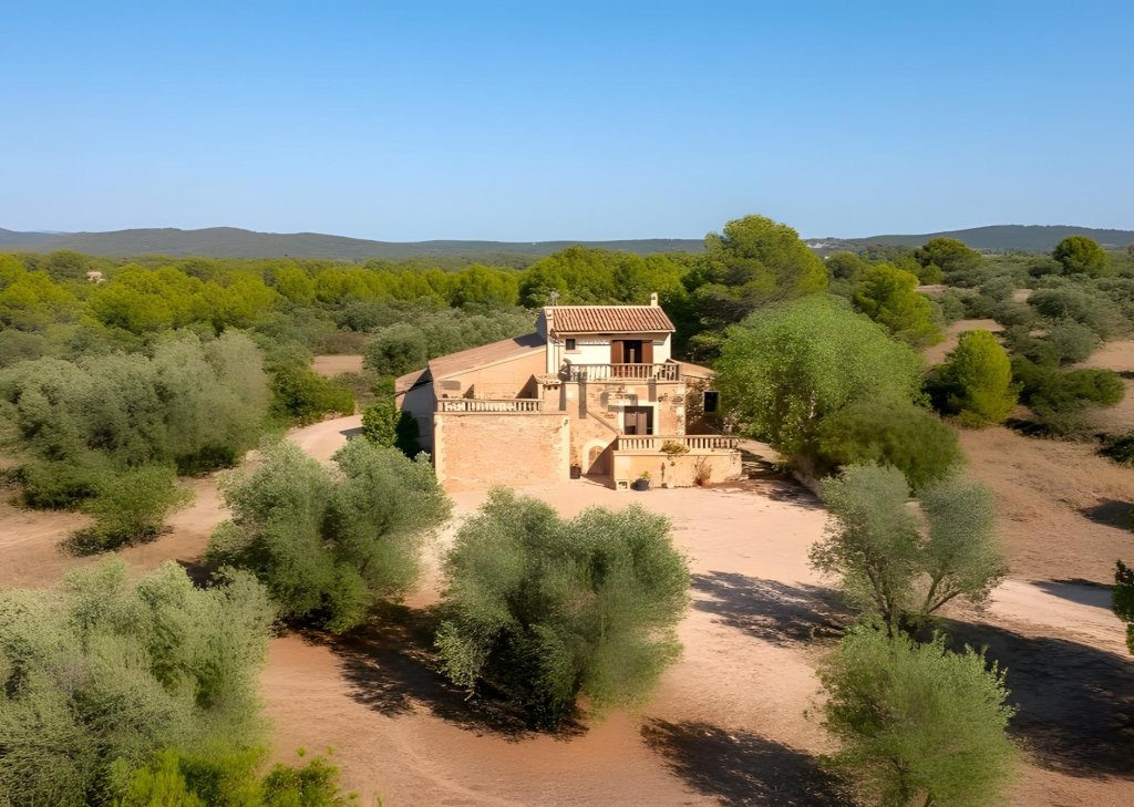 Featured Photo