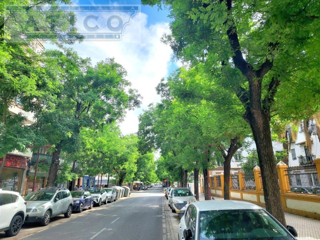 Featured Photo