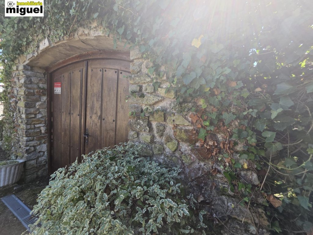 Featured Photo
