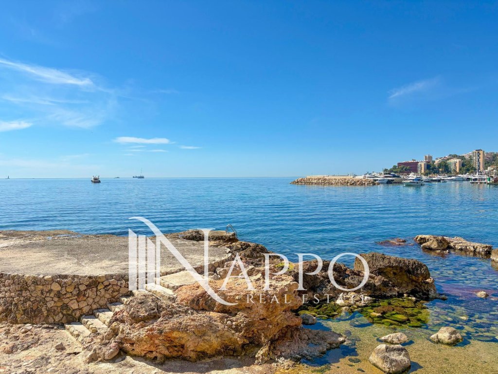 Featured Photo