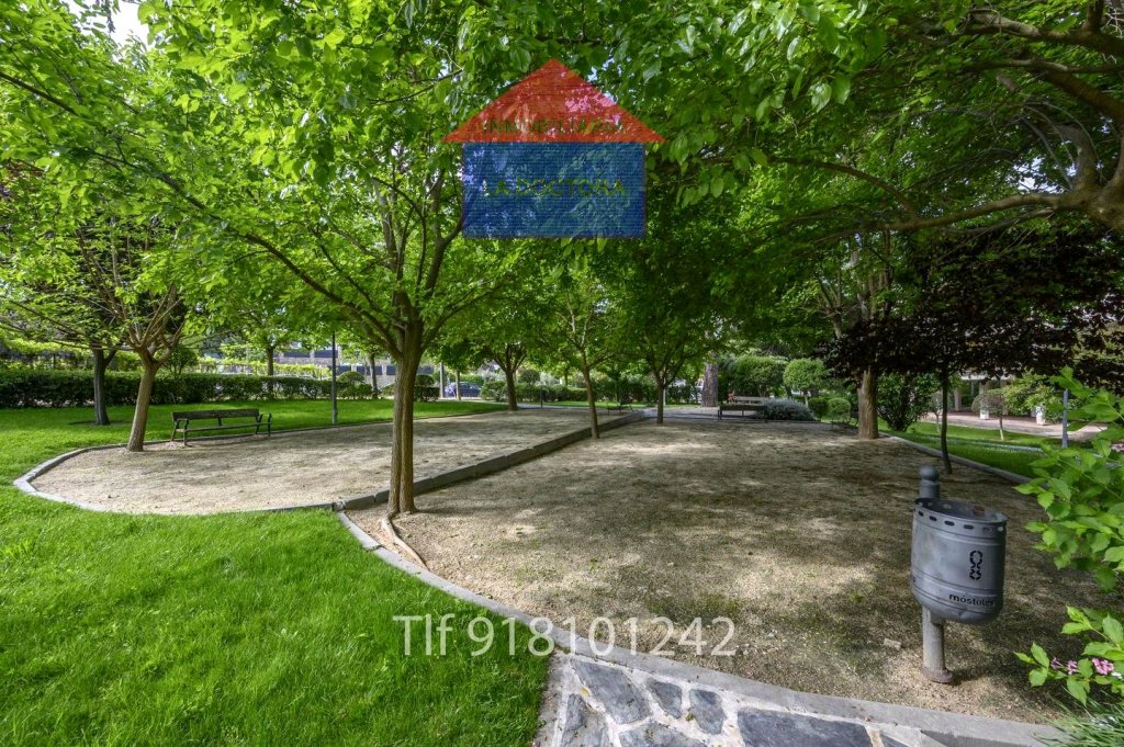 Featured Photo