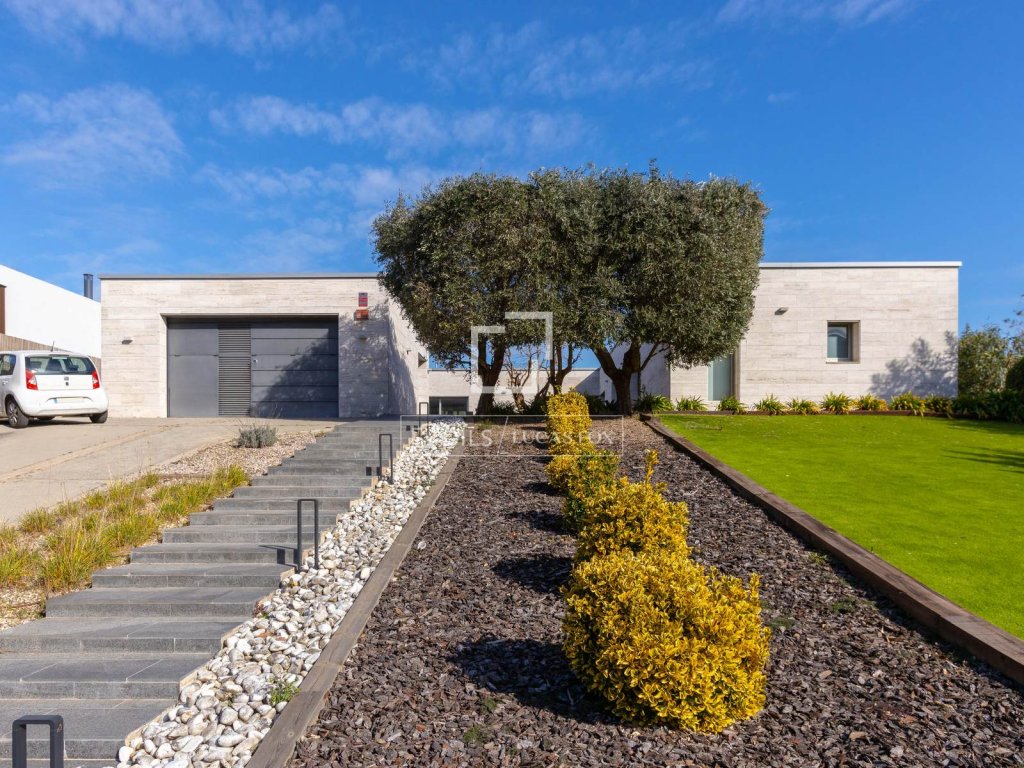 Featured Photo