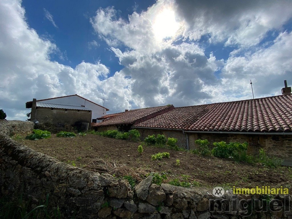 Featured Photo