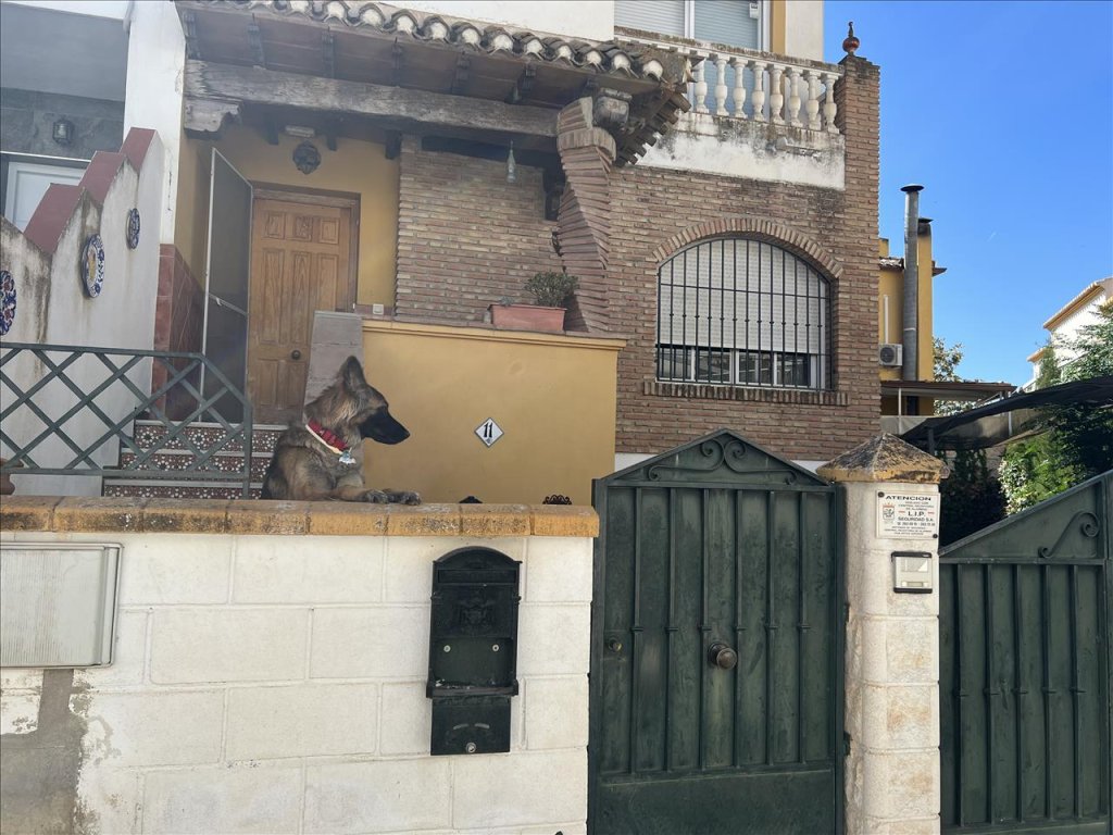 Featured Photo