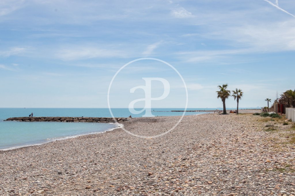 Featured Photo