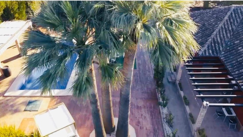 Featured Photo