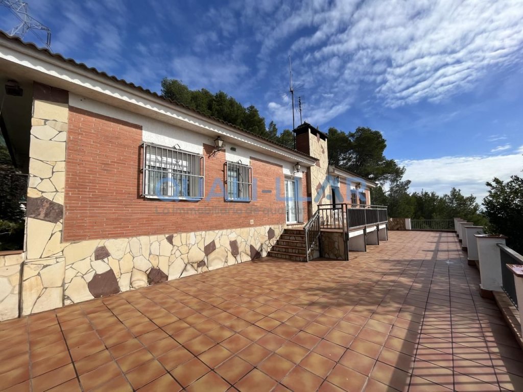 Featured Photo