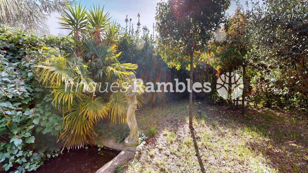 Featured Photo