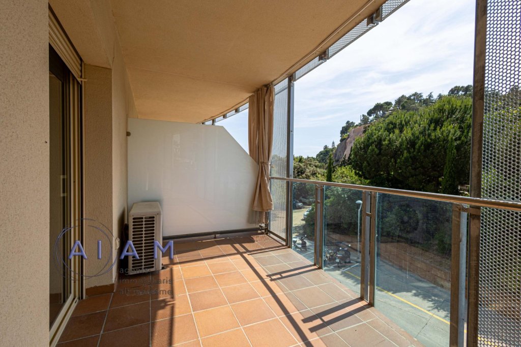 Featured Photo