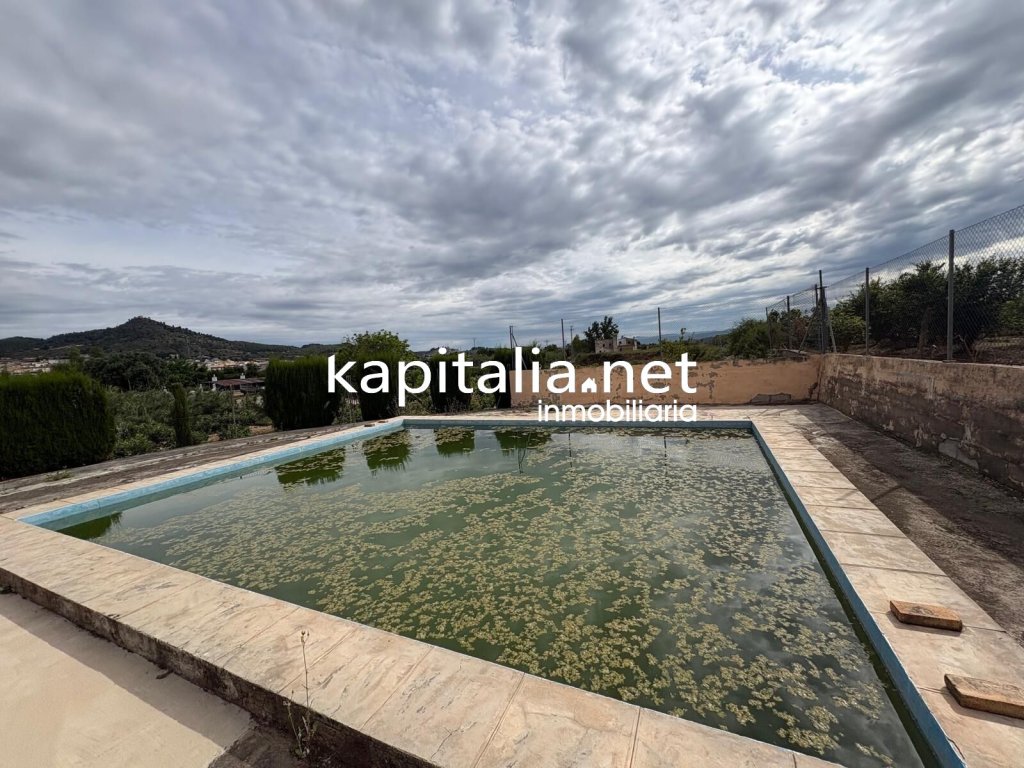 Featured Photo