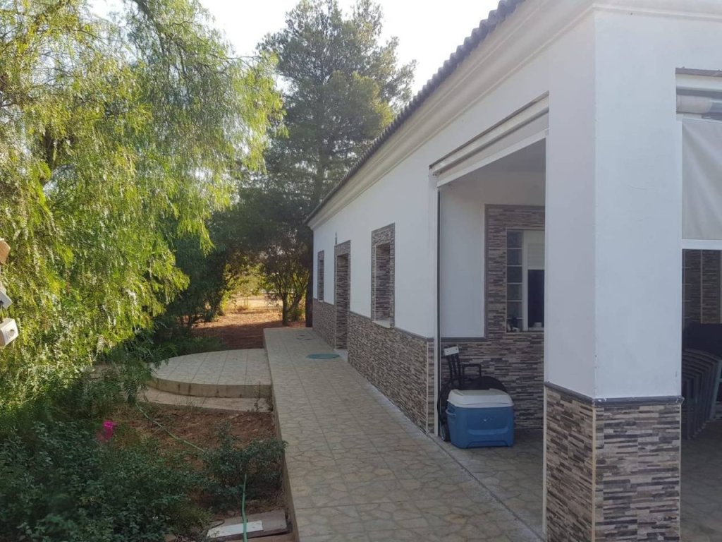 Featured Photo