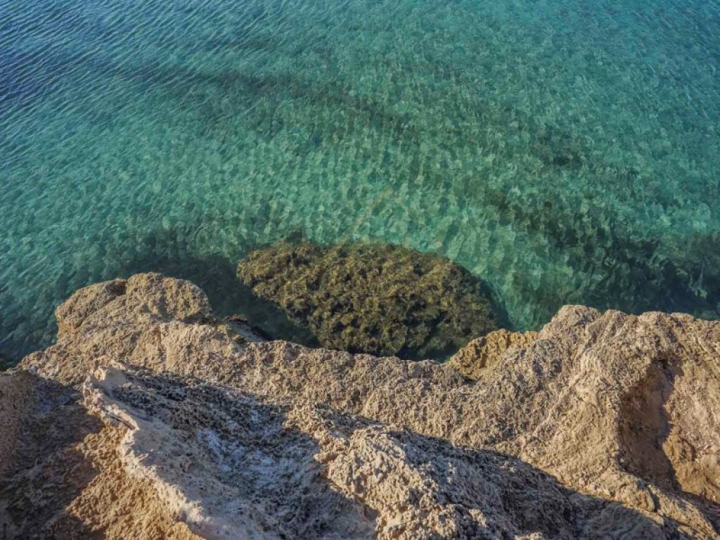 Featured Photo